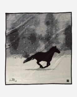 Pendleton A HORSE CALLED PAINT BLANKET