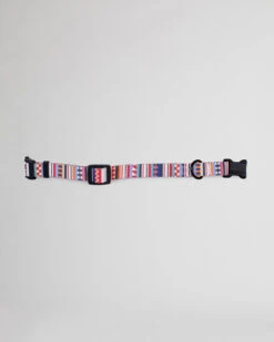 Pendleton TAMIAMI ADVENTURE DOG COLLAR -Pendleton Sales Store 73042 X001059 ALT1
