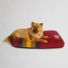 Pendleton ZION NATIONAL PARK DOG BED -Pendleton Sales Store 73434 X000896