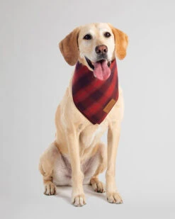 Pendleton PET BANDANA 3PK -Pendleton Sales Store 73439 X001076 ALT2