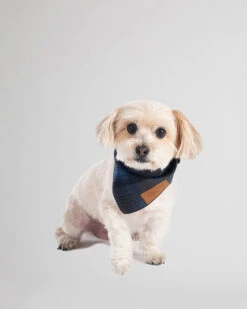 Pendleton PET BANDANA 3PK -Pendleton Sales Store 73439 X001076 ALT3