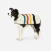 Pendleton GLACIER NATIONAL PARK DOG COAT