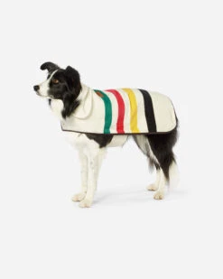 Pendleton GLACIER NATIONAL PARK DOG COAT