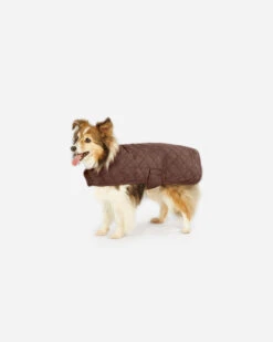Pendleton RED OMBRE PLAID DOG COAT -Pendleton Sales Store 73824 D335 ALT3