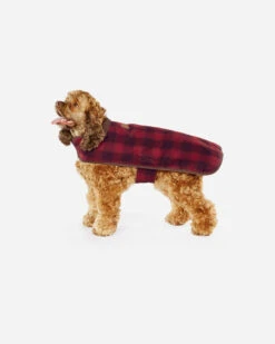 Pendleton RED OMBRE PLAID DOG COAT -Pendleton Sales Store 73824 D335 ALT4
