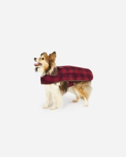 Pendleton RED OMBRE PLAID DOG COAT -Pendleton Sales Store 73824 D335 ALT5